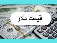 جدیدترین قیمت دلار آمریکا امروز در بازار آزاد چقدر است؟ + تحلیل قیمت دلار