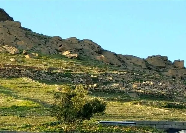 تحول در بیمه کشاورزی در سال ۱۴۰۴