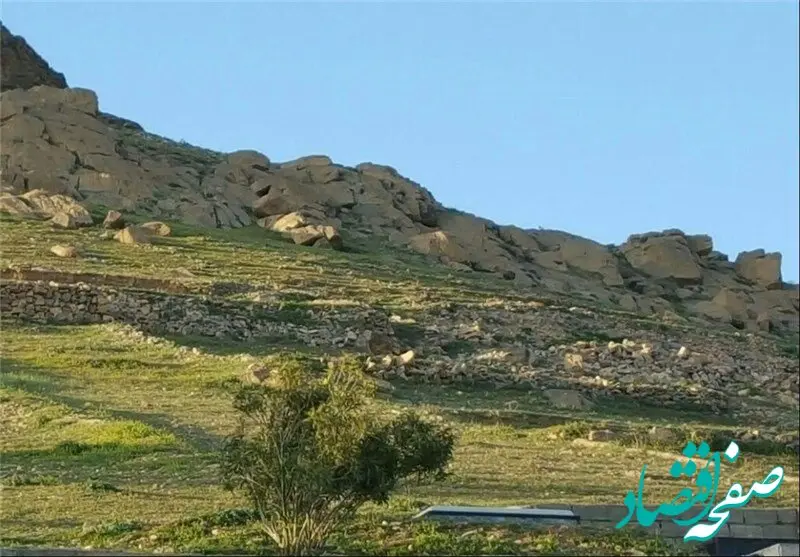 تحول در بیمه کشاورزی در سال ۱۴۰۴
