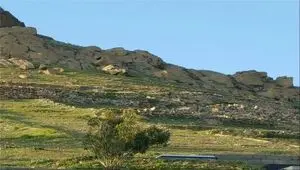 تحول در بیمه کشاورزی در سال ۱۴۰۴