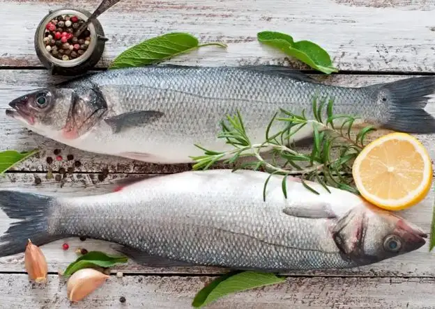 قیمت قزل‌آلا امروز دوشنبه ۲۷ بهمن ۱۴۰۴ / افت ۵۰ هزار تومانی در بازار عمده‌فروشی