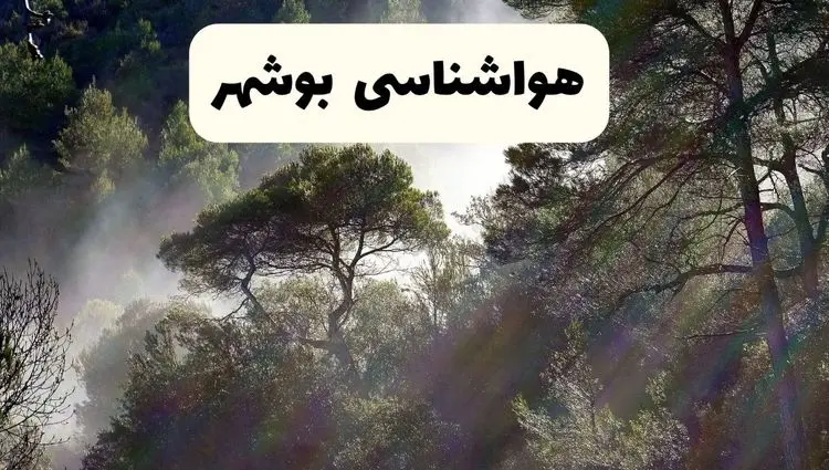 جدیدترین پیش بینی وضعیت آب و هوا بوشهر فردا شنبه ۲۰ اردیبهشت ۱۴۰۴ | هواشناسی بوشهر در ۲۴ ساعت آینده