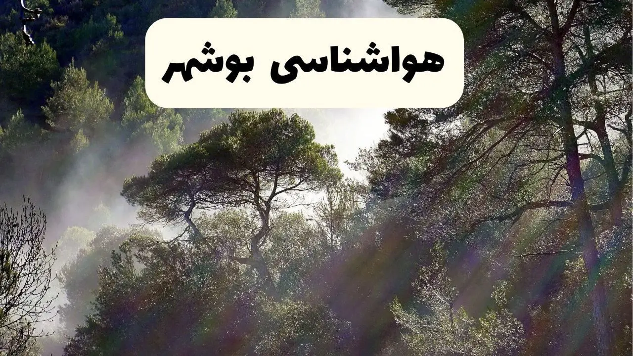 جدیدترین پیش بینی وضعیت آب و هوا بوشهر فردا شنبه ۲۰ اردیبهشت ۱۴۰۴ | هواشناسی بوشهر در ۲۴ ساعت آینده