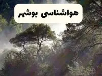 هواشناسی فوری بوشهر ۲۴ ساعت آینده | پیش بینی وضعیت آب و هوا بوشهر فردا شنبه ۱۳ اردیبهشت ماه ۱۴۰۴ 