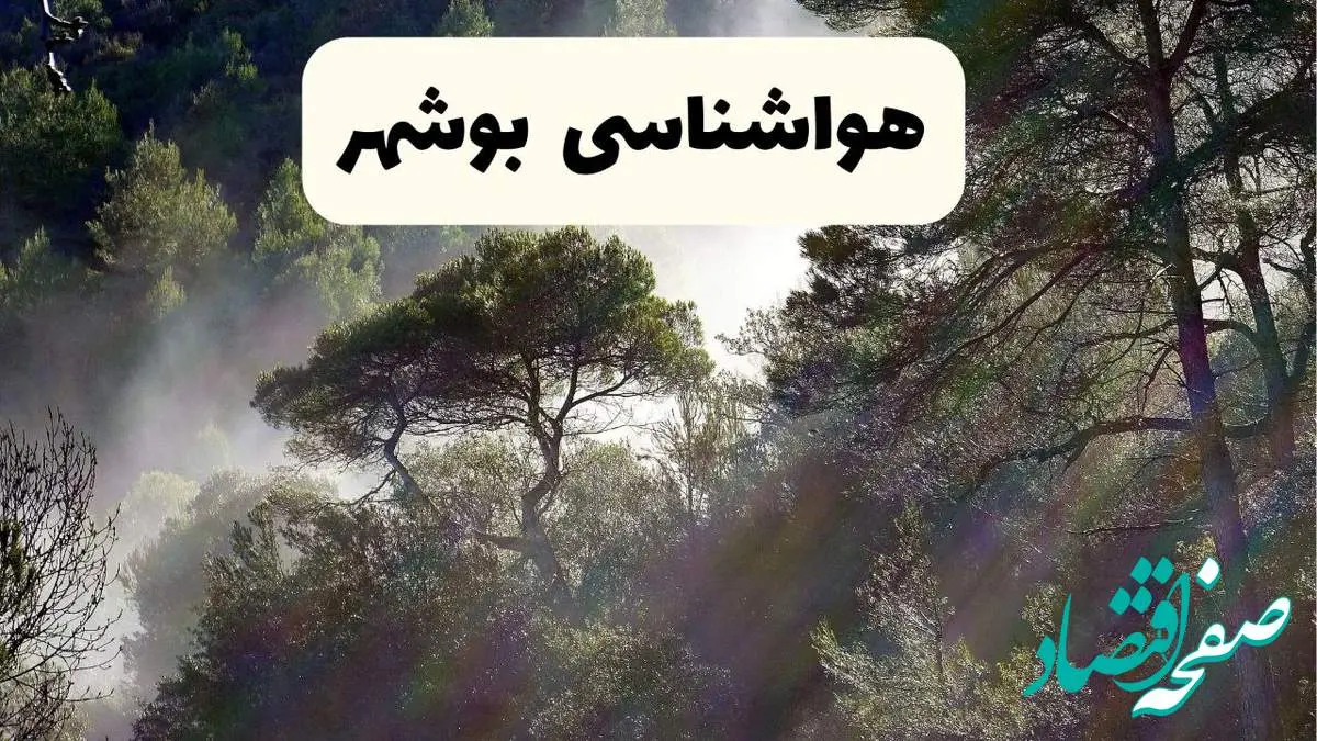 هواشناسی فوری بوشهر ۲۴ ساعت آینده | پیش بینی وضعیت آب و هوا بوشهر فردا شنبه ۱۳ اردیبهشت ماه ۱۴۰۴