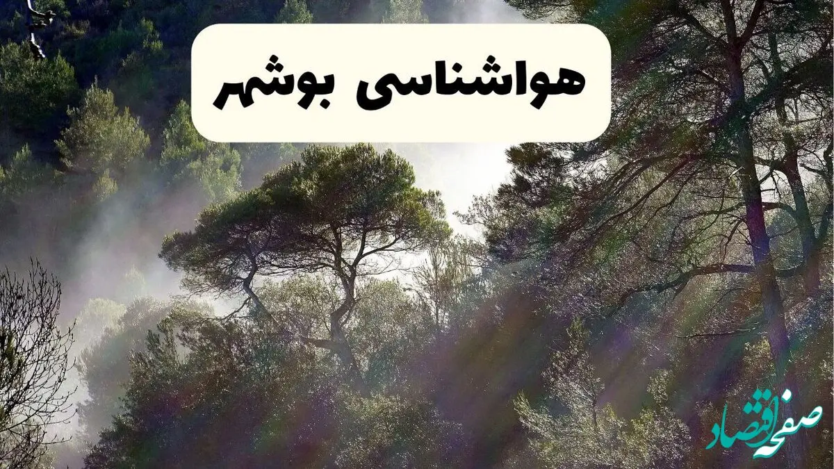 هواشناسی فوری بوشهر ۲۴ ساعت آینده | پیش بینی وضعیت آب و هوا بوشهر فردا شنبه ۱۳ اردیبهشت ماه ۱۴۰۴ 