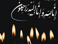 بازیکن بزرگ فوتبال درگذشت + جزئیات اتفاق