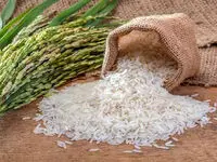 جنجال قیمت برنج خارجی | وزیر جهاد کشاورزی: بیشتر از ۵۵ هزار تومان ندهید! + فیلم