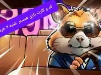 کد مورس و کارت‌ همستر شنبه ۳ خرداد ۱۴۰۴