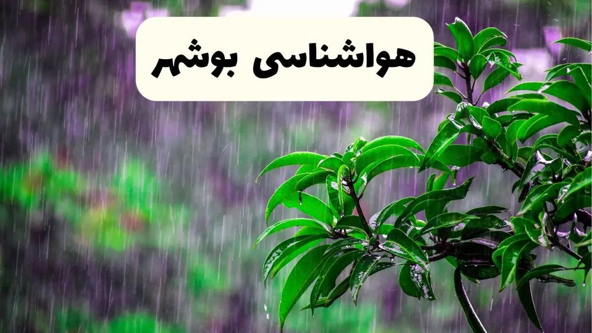 پیش بینی وضعیت آب و هوا بوشهر فردا ۸ اردیبهشت ماه ۱۴۰۴ + پیش بینی هواشناسی بوشهر ۲۴ ساعت آینده