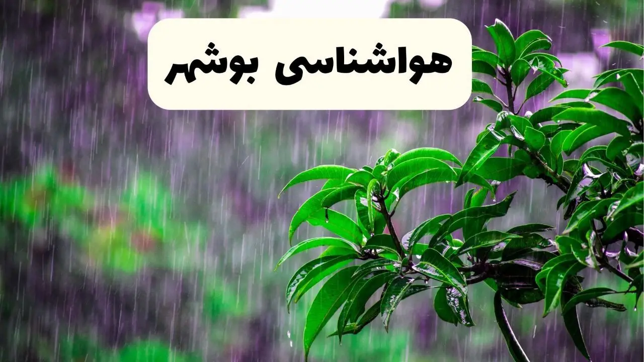 پیش بینی وضعیت آب و هوا بوشهر فردا ۸ اردیبهشت ماه ۱۴۰۴ + پیش بینی هواشناسی بوشهر ۲۴ ساعت آینده