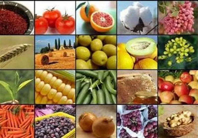 صادرات این ۲۰ محصول کشاورزی آزاد شد+ فهرست محصولات