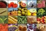 صادرات این ۲۰ محصول کشاورزی آزاد شد+ فهرست محصولات
