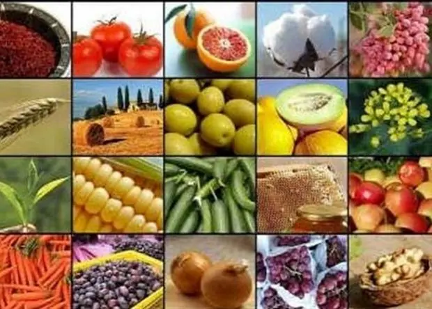 صادرات این ۲۰ محصول کشاورزی آزاد شد+ فهرست محصولات
