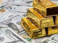 شوک ارزی ماشه؛ حباب هیجان یا سقوط اقتصادی؟ کارشناسان: این افزایش قیمت ترکیدنی است