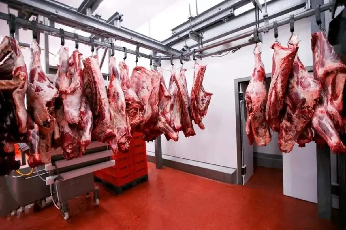 گوشت ارزان کنیایی کی به بازار ایران وارد می شود؟