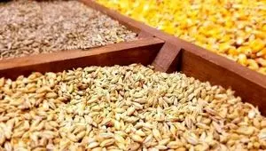 نهاده‌های یارانه‌ای در پیچ‌وخم سیاست‌گذاری وزارت جهاد کشاورزی