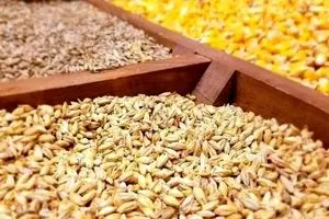 نهاده‌های یارانه‌ای در پیچ‌وخم سیاست‌گذاری وزارت جهاد کشاورزی