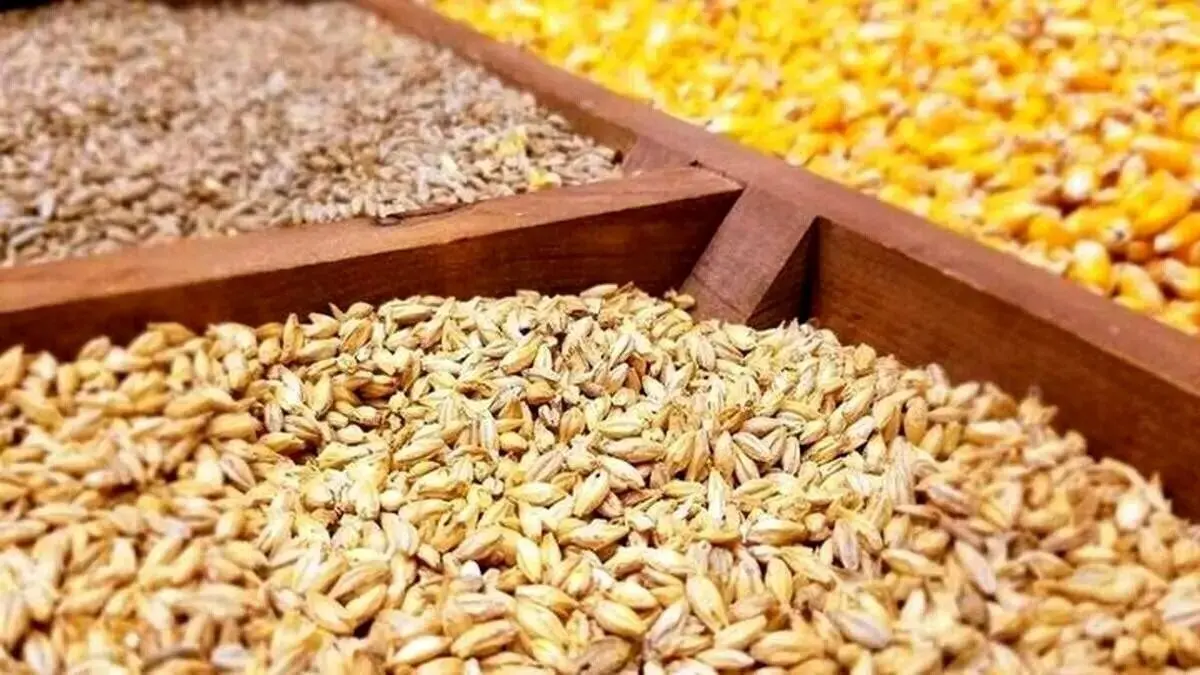 نهاده‌های یارانه‌ای در پیچ‌وخم سیاست‌گذاری وزارت جهاد کشاورزی