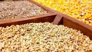 نهاده‌های یارانه‌ای در پیچ‌وخم سیاست‌گذاری وزارت جهاد کشاورزی