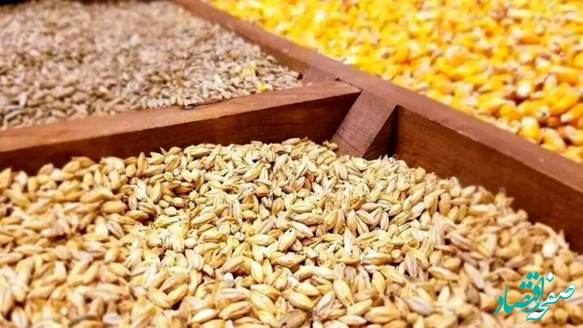 نهاده‌های یارانه‌ای در پیچ‌وخم سیاست‌گذاری وزارت جهاد کشاورزی