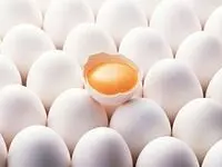 چند عدد تخم‌ مرغ در روز می توان خورد؟