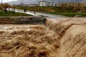 سیل چند همت به گلستان خسارت زد؟ 