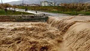 سیل چند همت به گلستان خسارت زد؟ 