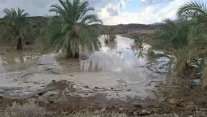 پیش بینی وضعیت آب و هوا سیستان و بلوچستان فردا یکشنبه ۴ مرداد ۱۴۰۵