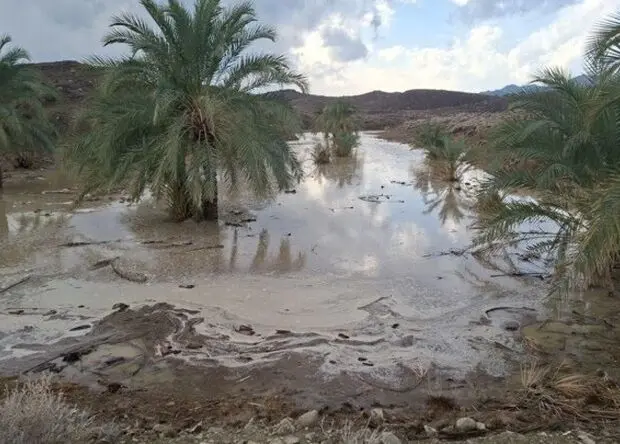 پیش بینی وضعیت آب و هوا سیستان و بلوچستان فردا یکشنبه ۴ مرداد ۱۴۰۵