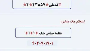 کدهای دستوری برای استعلام امور اقتصادی خانوار