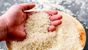 قیمت برنج ایرانی حسابی پرواز کرد + جدول قیمت