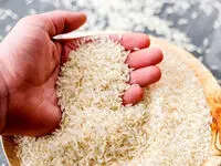 قیمت برنج ایرانی حسابی پرواز کرد + جدول قیمت
