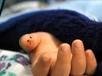 علت مرگ دردناک دو کودک در تربت حیدریه چه بود ؟