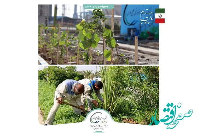  مجتمع پتروشیمی اروند با کاشت درختان مثمر ثمر، سرانه فضای سبز خود را ارتقا داد