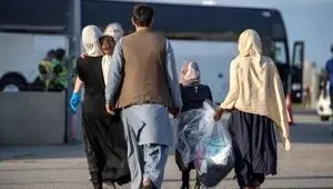 فاجعه افغانی ها ناشی از زیاده خواهی و سودجویی کارفرمایان
