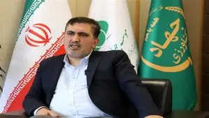واکنش موسسه جهاد استقلال به واردات برنج‌های مختلط