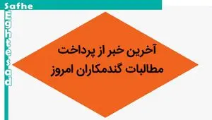 آخرین خبر از پرداخت مطالبات گندمکاران امروز پنجشنبه ۱ شهریور ماه ۱۴۰۳ | گندمکاران بخوانند