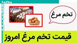 قیمت تخم مرغ امروز دوشنبه ۱۷ اردیبهشت ماه ۱۴۰۳ در بازار + جدول