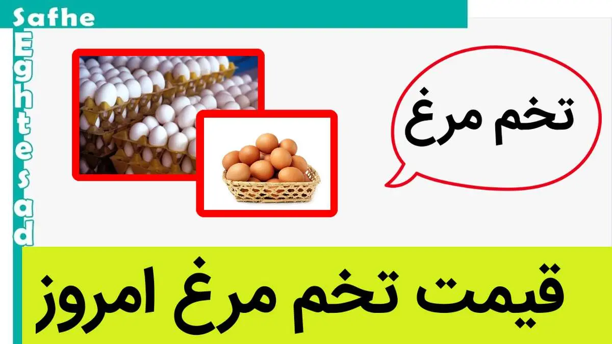 آخرین قیمت تخم مرغ امروز شنبه ۲۲ دی ۱۴۰۳ 