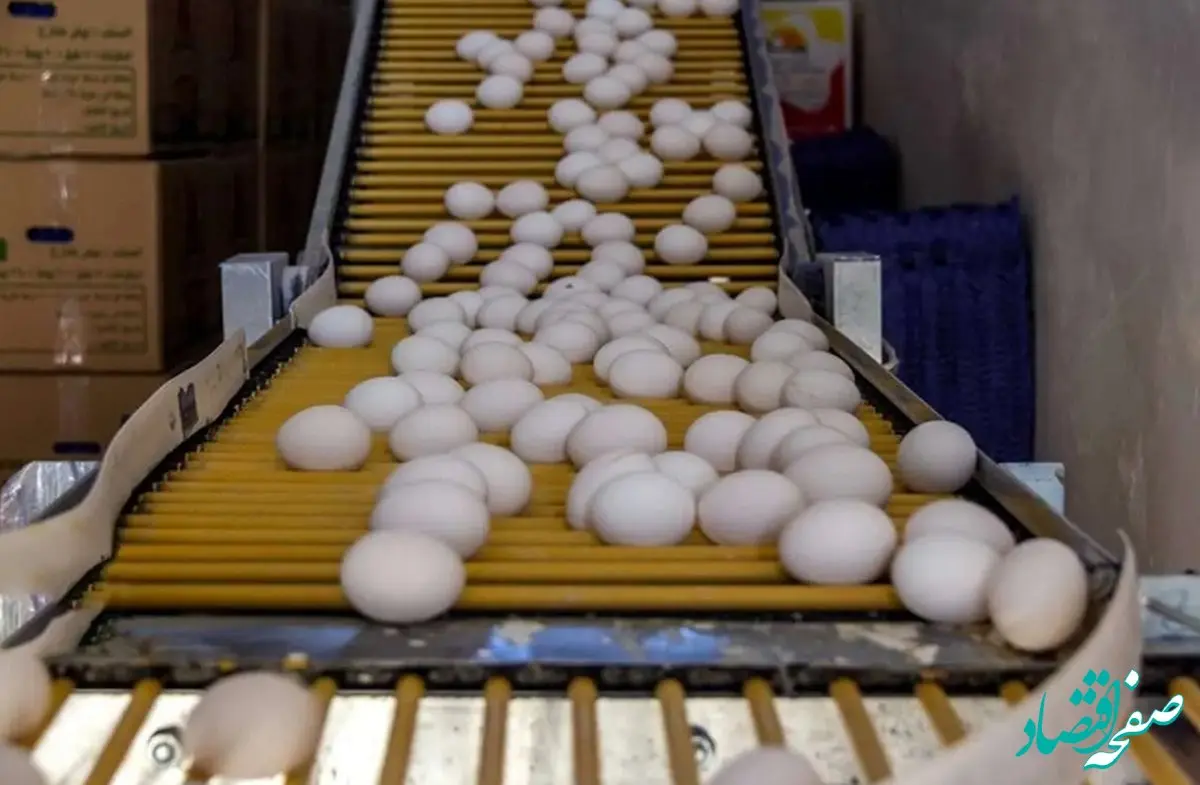 قیمت تخم مرغ در بازار امروز ۱۰ بهمن ۱۴۰۴