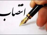 انتصاب نفیسه صفارنیا، به ریاست دفتر هیات عامل ایمیدرو