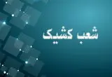 اعلام شعب کشیک بانک توسعه صادرات ایران تا پایان شهریورماه سال جاری