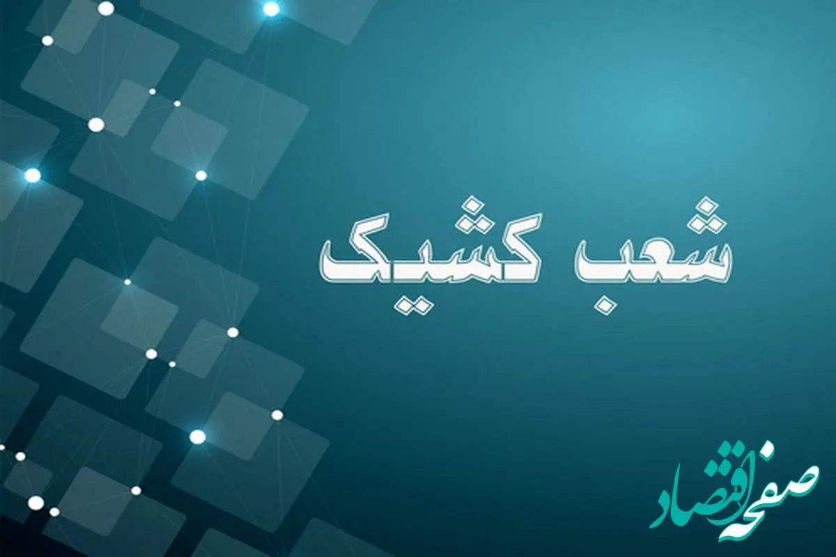 اعلام شعب کشیک بانک توسعه صادرات ایران تا پایان شهریورماه ۱۴۰۴