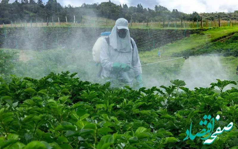 ۱۲ درصد سموم مصرفی کشور پرخطر است/ معضل کشاورزی بدمصرفی سموم
