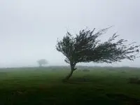 هشدار هواشناسی زنجان: وزش باد شدید و افت کیفیت هوا در راه است