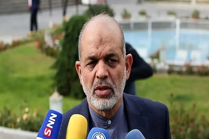 واکنش وزیر کشور به انتشار فیلم برخورد مأمور فراجا با زنان / آن خانم خود را... 