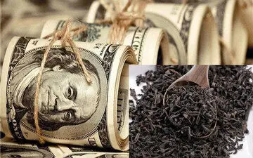 حرکت عجیب بانک مرکزی / مستندات حواله های چای دبش را به دادگستری استان تهران تحویل دهید