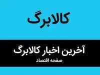 تأثیر عجیب طرح کالابرگ الکترونیک در کنترل تورم! 