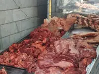 کشف ۷۰۰ کیلوگرم گوشت قاچاق در قصرشیرین + جزییات